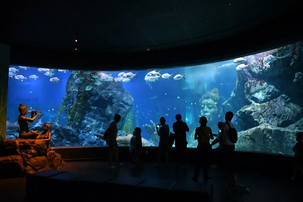 sea-life-ocean-world-KidZania-Bangkok-and the-safari-world-wildlife-park